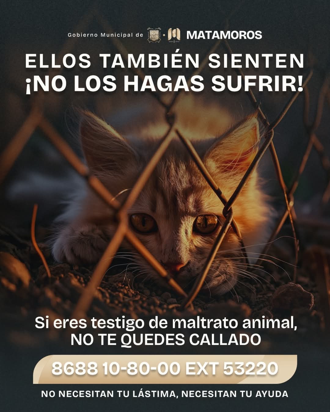 Pide alcalde Beto Granados denunciar el maltrato animal