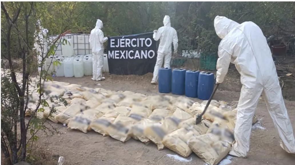 Operación Frontera Norte: suman 746 detenidos y 705 armas aseguradas