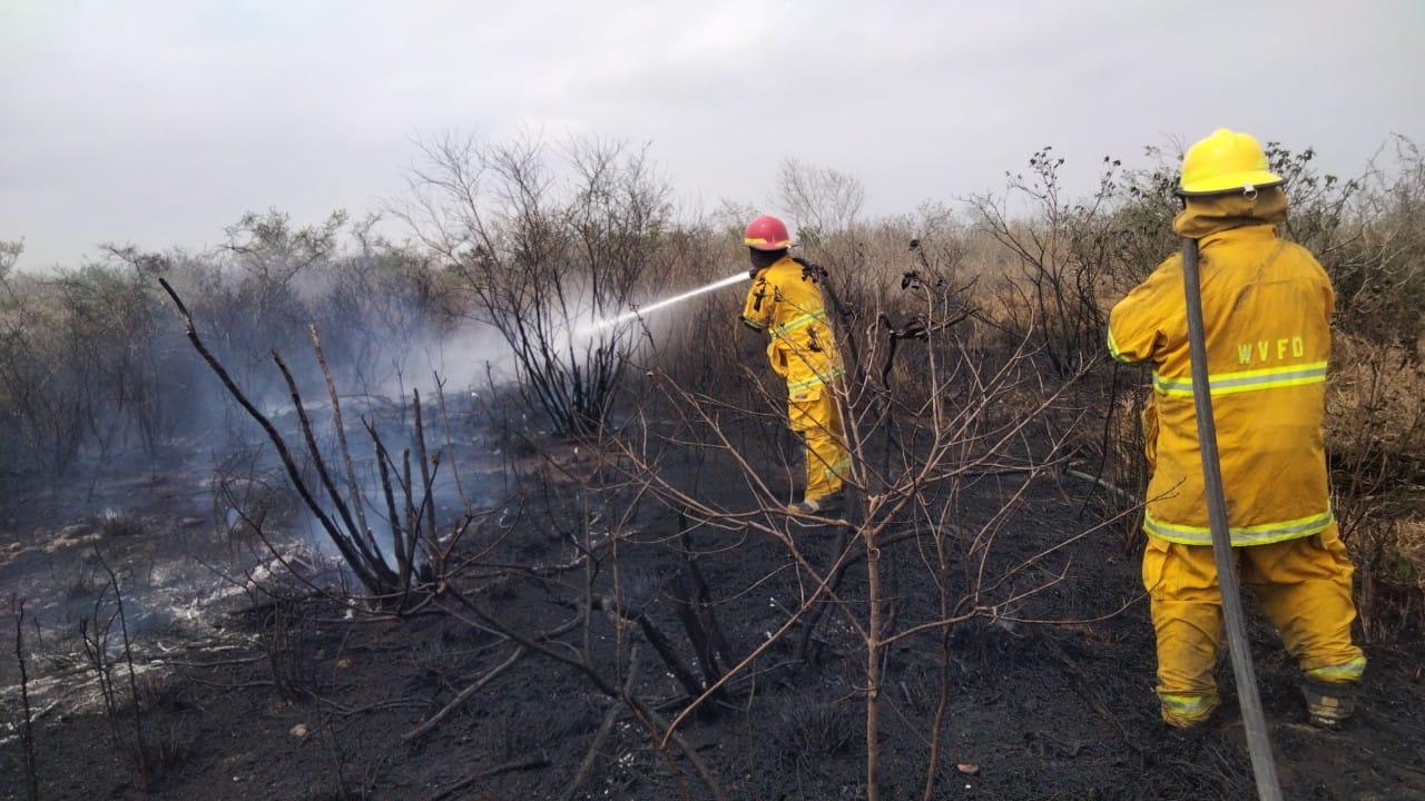 Incendios consumen más de 20 hectáreas en San Fernando