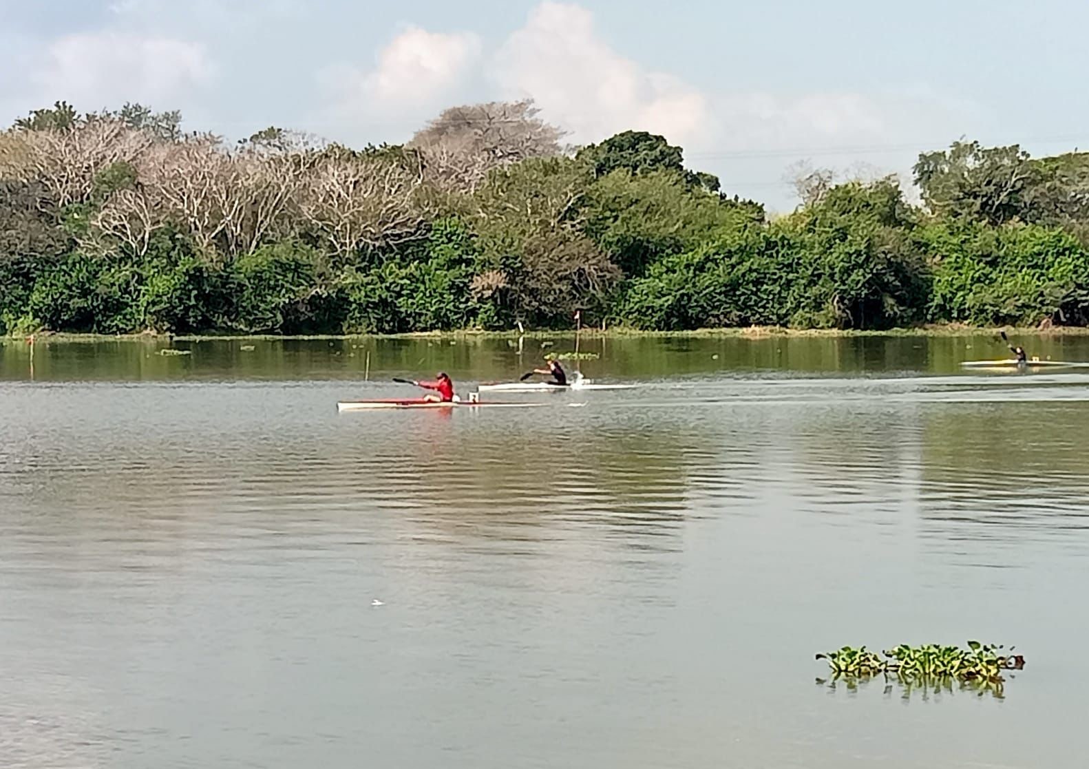 Definir selección tamaulipeca de canotaje durante estatal en Tampico