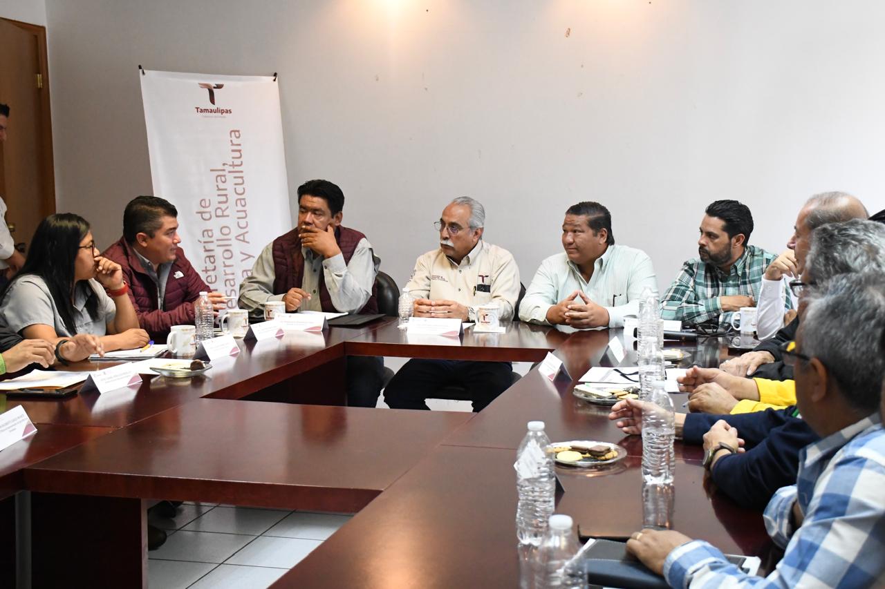 Suman acciones para el control del manejo del fuego en Tamaulipas