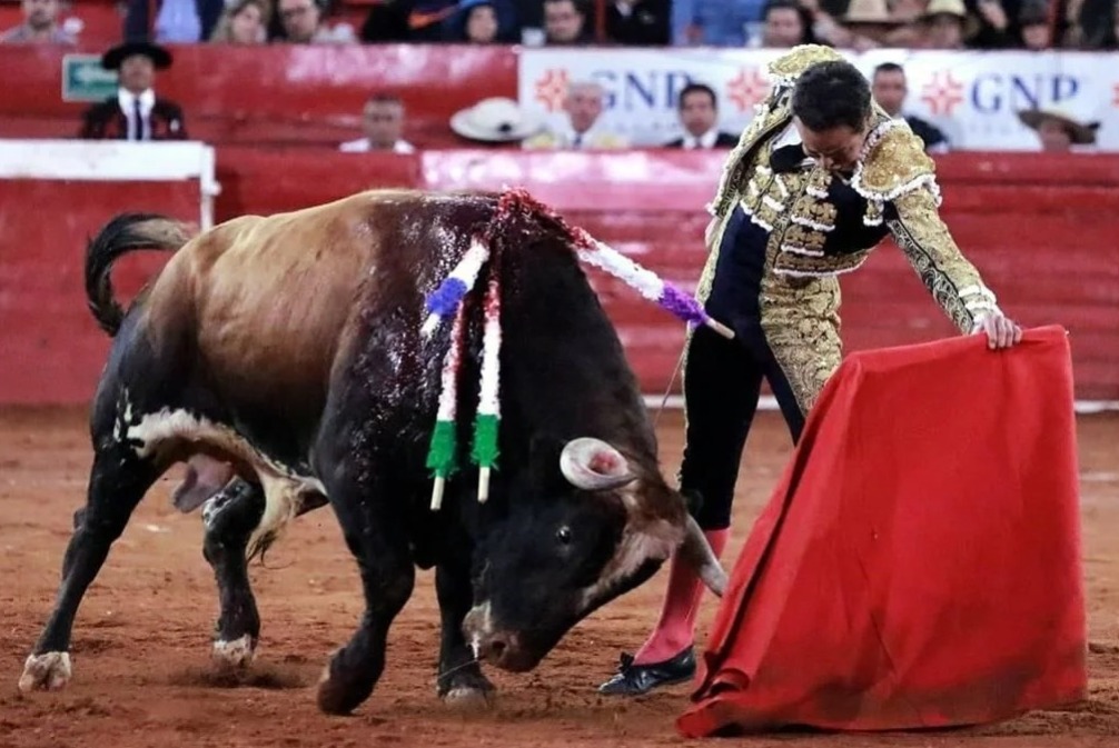 #Última Hora  Congreso de la CDMX aprueba corridas de toros sin violencia