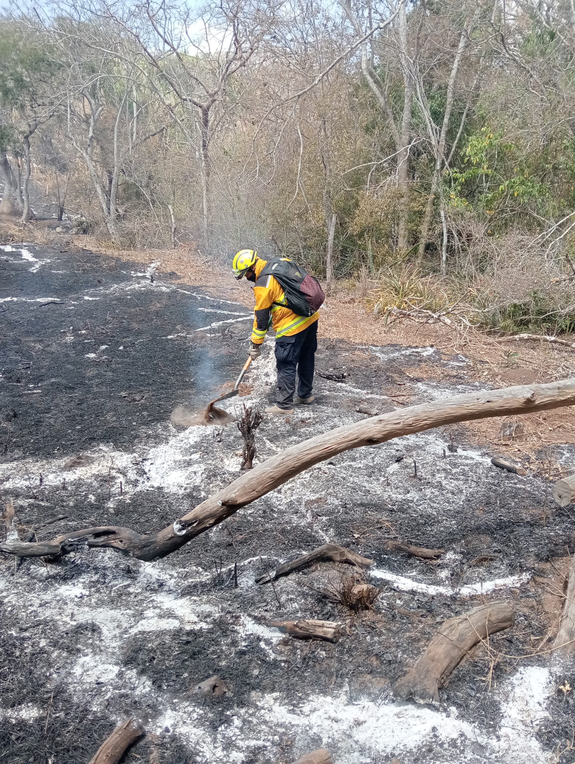 Liquidan incendios en Tamaulipas; se castigará a los responsables