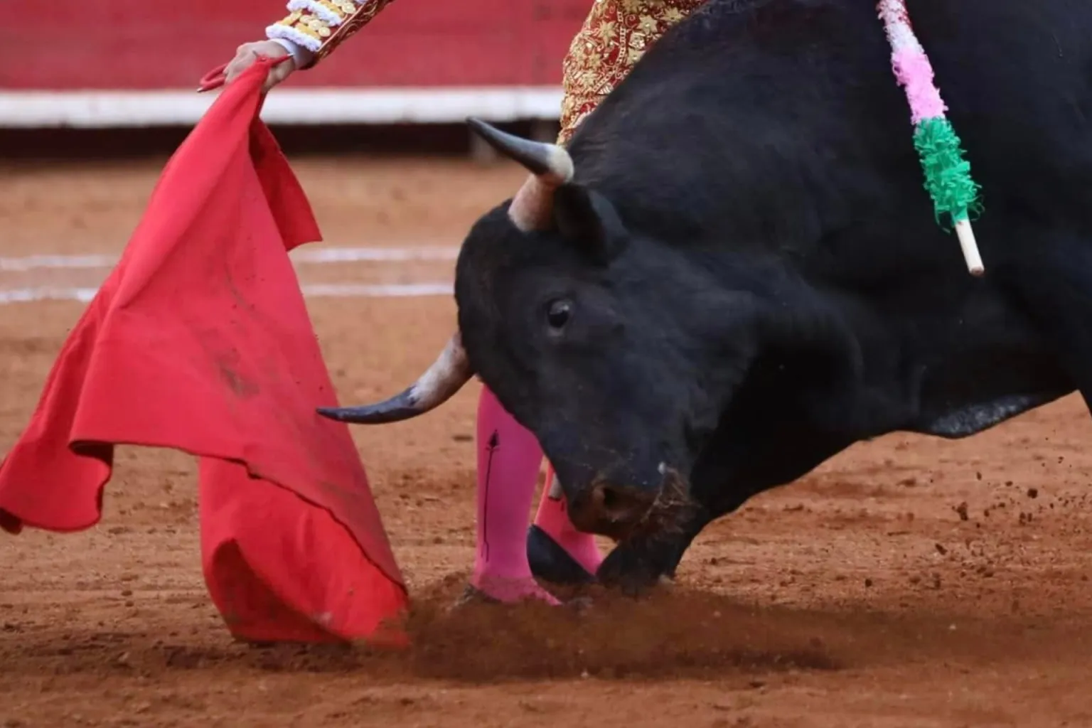 Nuevo decreto prohíbe las corridas de toros en CDMX