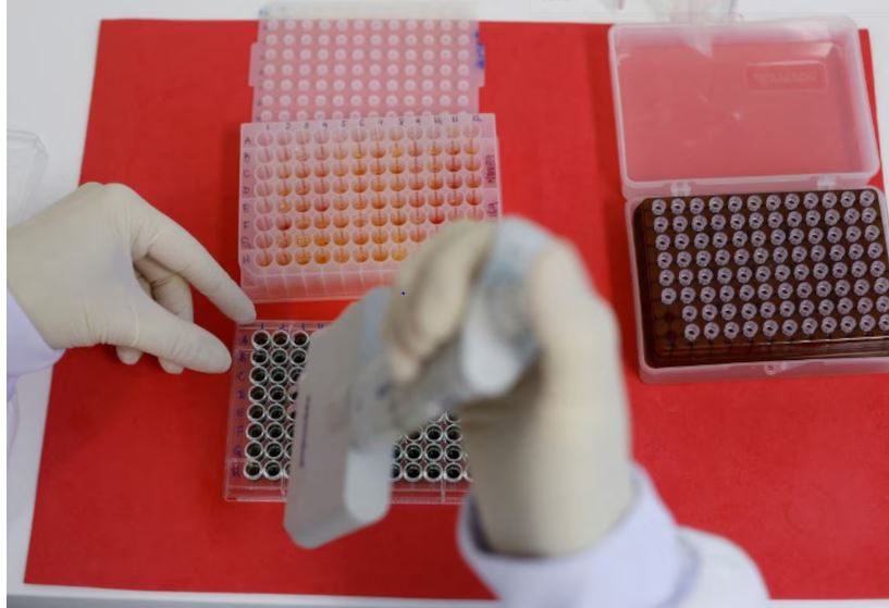 Salud detecta primer caso humano en México de influenza aviar A(H5N1)