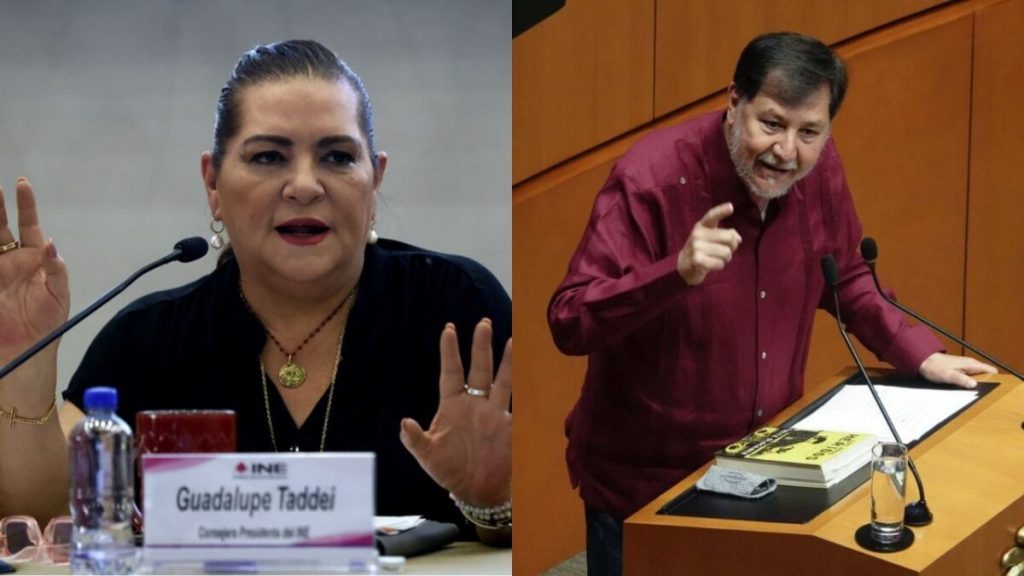 Taddei responde a Noroña: a INE no le corresponde evaluar perfiles