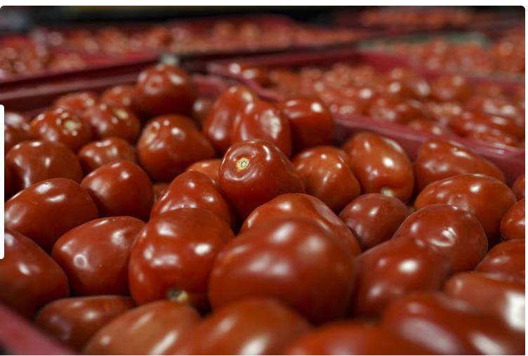 Trump impone un arancel del 20,91% a los tomates importados desde México desde julio