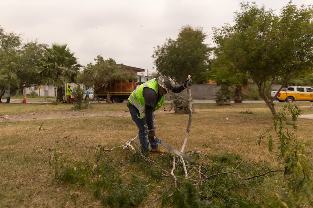 Gobierno de Matamoros Realiza Limpieza de Área Verde en la Colonia Obrera