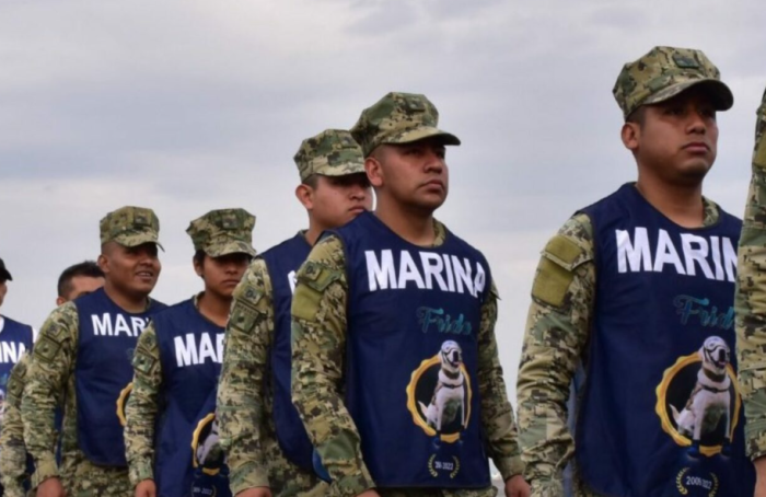Gobierno despliega a más de 17 mil elementos de la marina  y de defensa por “Erick”