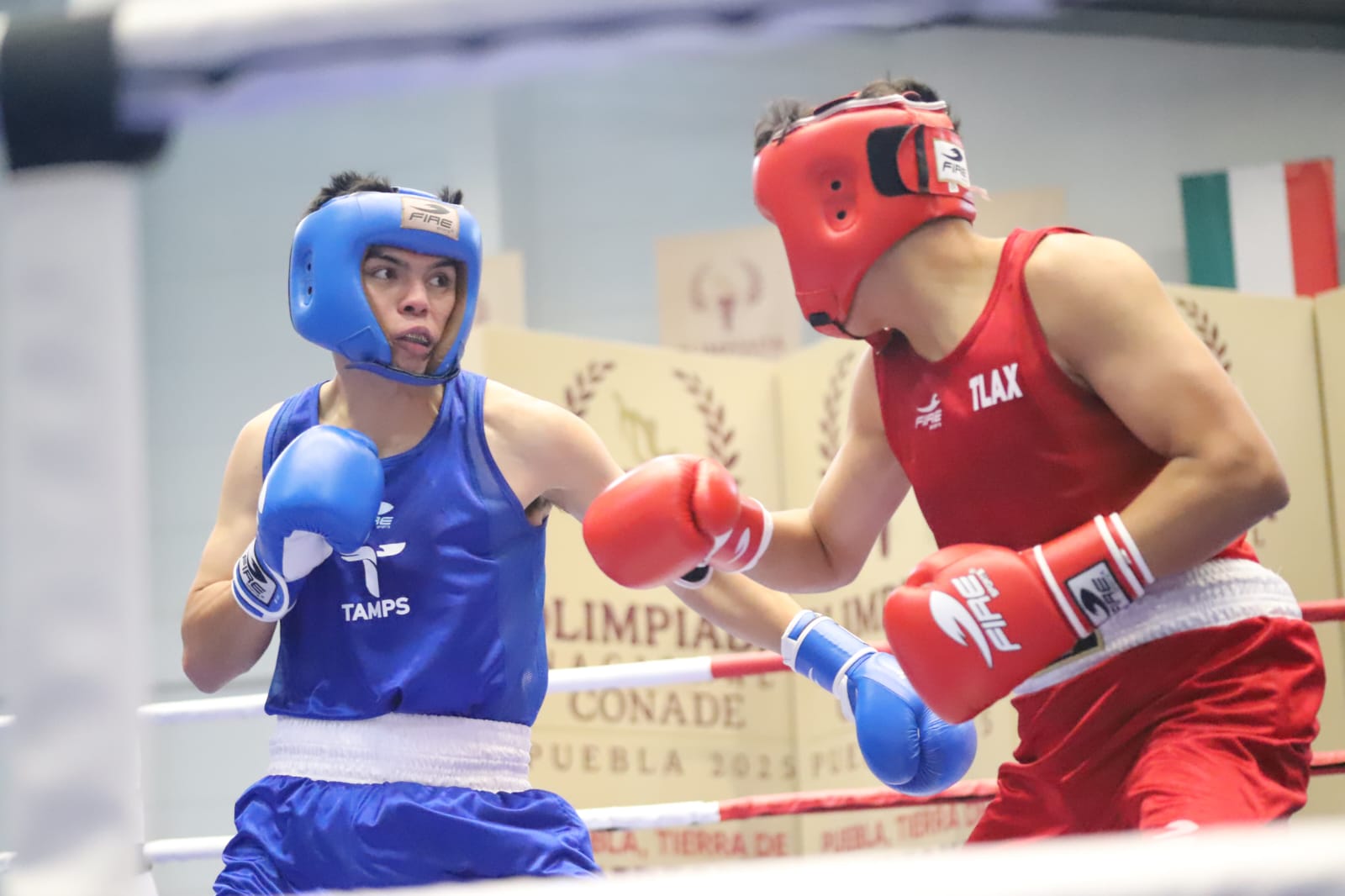 Cierra Tamaulipas con una medalla de oro y tres de bronce la Olimpiada Nacional 2025; fueron 153 preseas en total