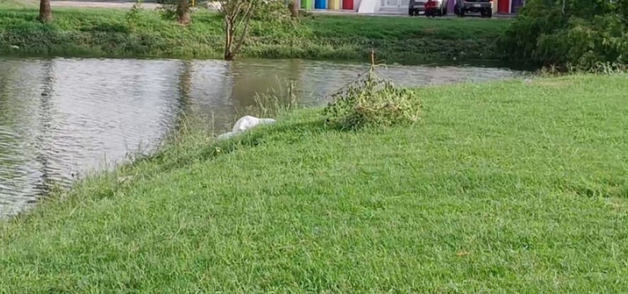 Encuentran sin vida a albañil que cayó al Laguito en Matamoros, Tamaulipas
