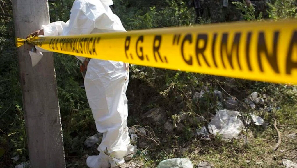 Suman 54 cuerpos recuperados de fosa clandestina en Zapopan