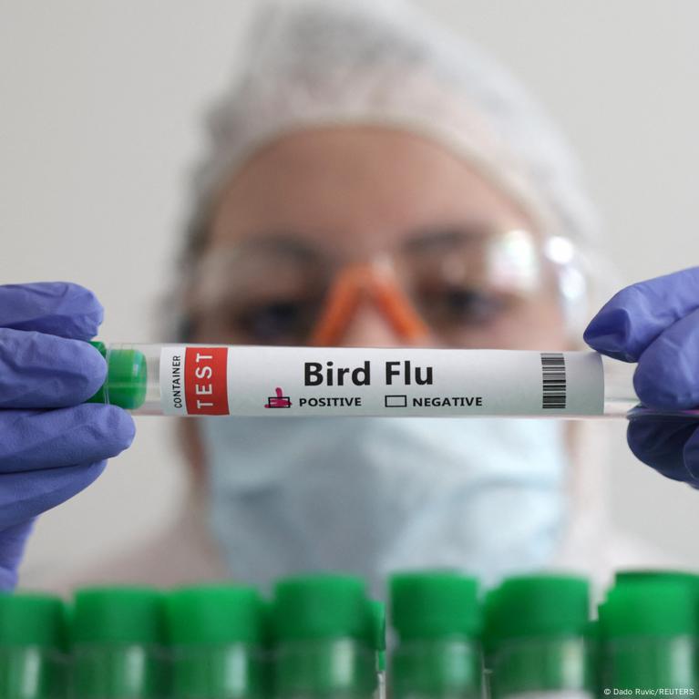 Voluntario bajo observación por posible contagio de influenza aviar