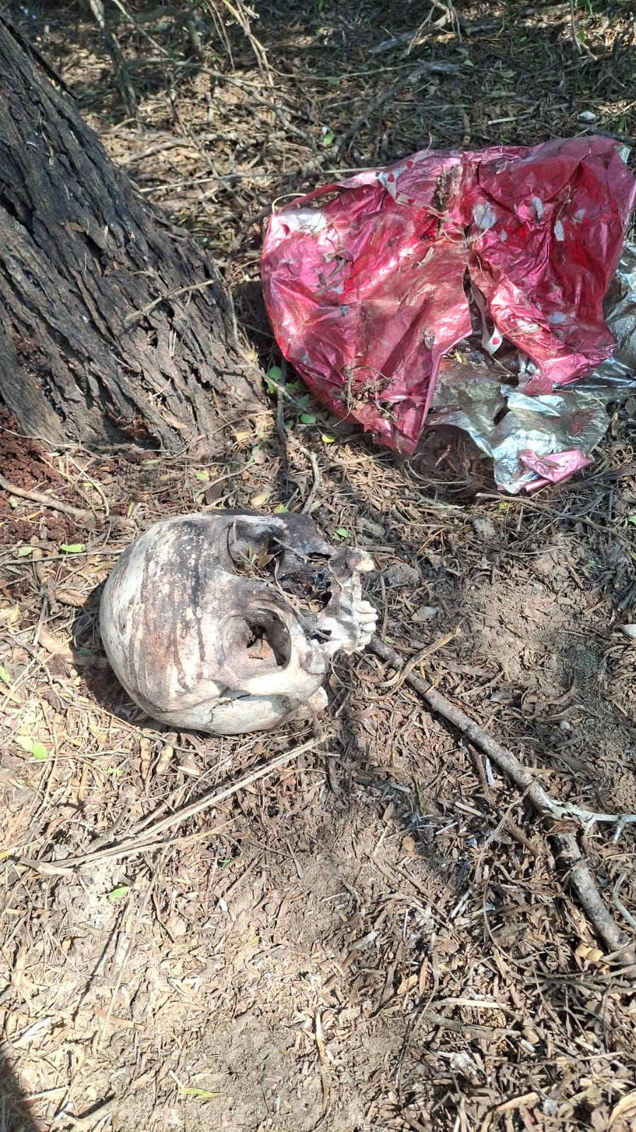 Da positiva una nueva búsqueda por parte del colectivo amor por los desaparecidos en Tamaulipas.