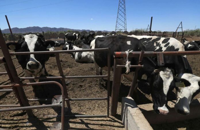 Texas Pide a EE. UU. Reabrir