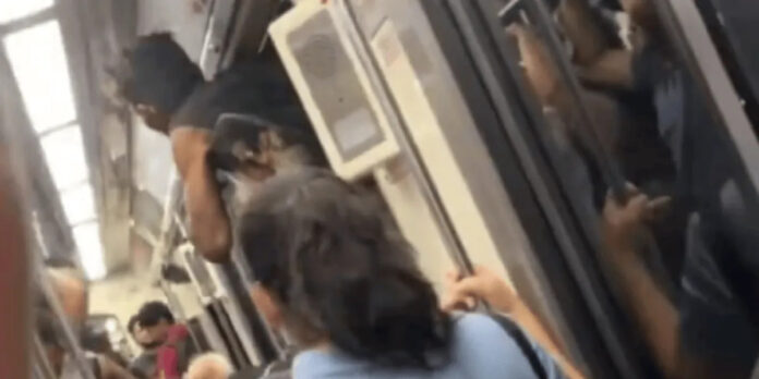 Tragedia en el Tren Ligero de Guadalajara: Pasajero Muere al Viajar Colgado de una Ventana