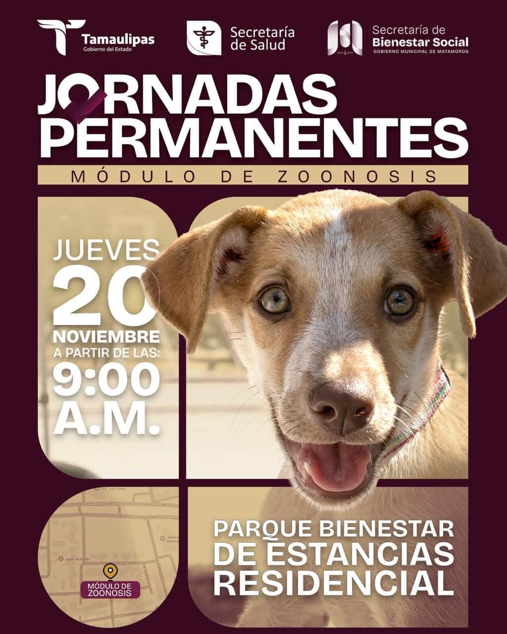 Municipio fortalece el bienestar animal con jornada gratuita en Estancias Residencial