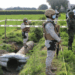 Inhabilitan 13 tomas clandestinas de hidrocarburo en Jalisco