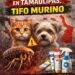 Alerta en Tamaulipas: Tifo murino, la enfermedad que se confunde con dengue
