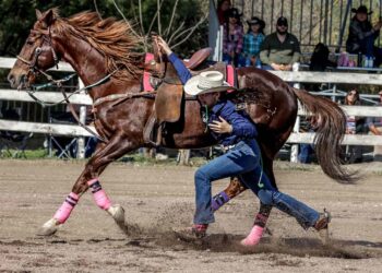 Continúa la Olimpiada Estatal del Deporte en Tamaulipas