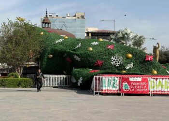 Fuertes vientos derriban el pino navideño millonario en el centro de Reynosa