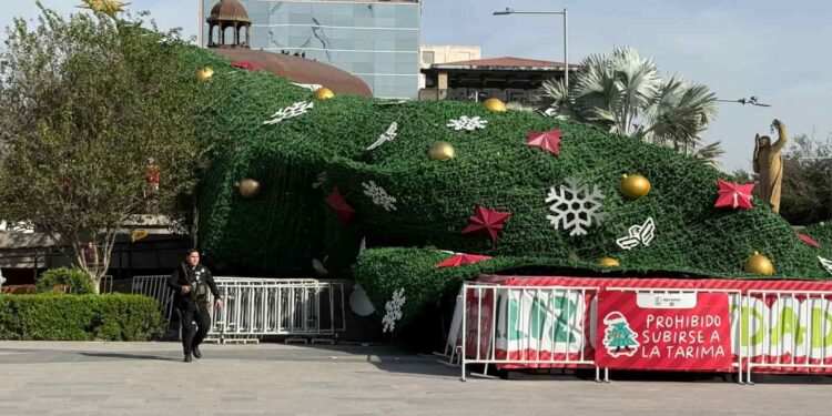 Fuertes vientos derriban el pino navideño millonario en el centro de Reynosa