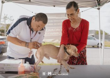 Gobierno de Beto Granados impulsa la salud y el bienestar animal en la Colonia Los Álamos