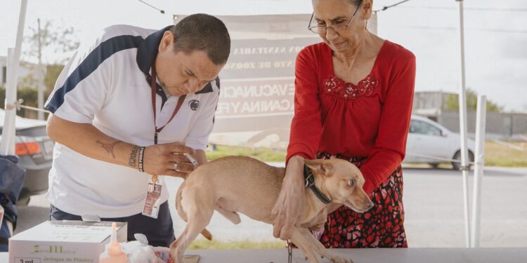 Gobierno de Beto Granados impulsa la salud y el bienestar animal en la Colonia Los Álamos