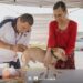 Gobierno de Beto Granados impulsa la salud y el bienestar animal en la Colonia Los Álamos