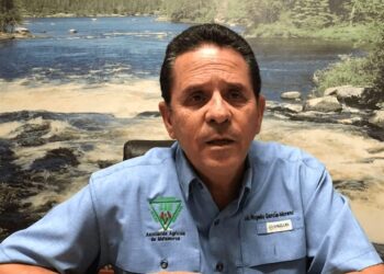 Producción récord de granos en Estados Unidos desplomará precios y aumentará importaciones