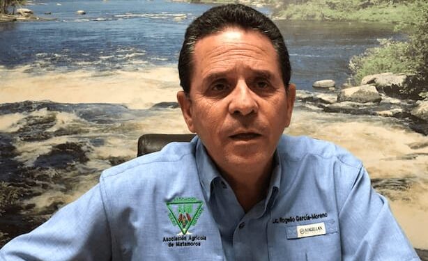 Producción récord de granos en Estados Unidos desplomará precios y aumentará importaciones
