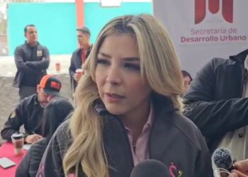 DIF Matamoros brinda apoyo integral a mujer con fractura de columna y resguarda a sus hijos por desnutrición