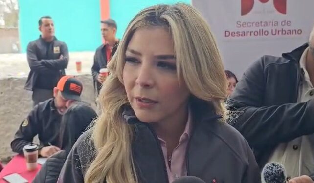 DIF Matamoros brinda apoyo integral a mujer con fractura de columna y resguarda a sus hijos por desnutrición