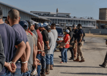 EE. UU. detuvo a casi 380 000 migrantes en un año, afirma ICE