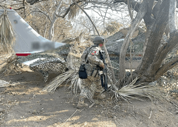 Autoridades aseguran aeronave y más de media tonelada de droga en Oaxaca