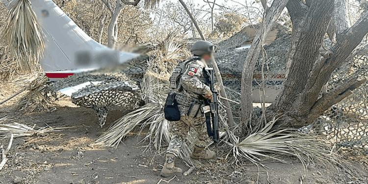 Autoridades aseguran aeronave y más de media tonelada de droga en Oaxaca