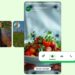 WhatsApp integra anuncios en Estados y Canales; esto es lo que debes saber