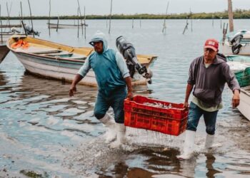 Cae 50% la pesca en Tamaulipas; Conapesca atribuye impacto a lanzamientos de SpaceX