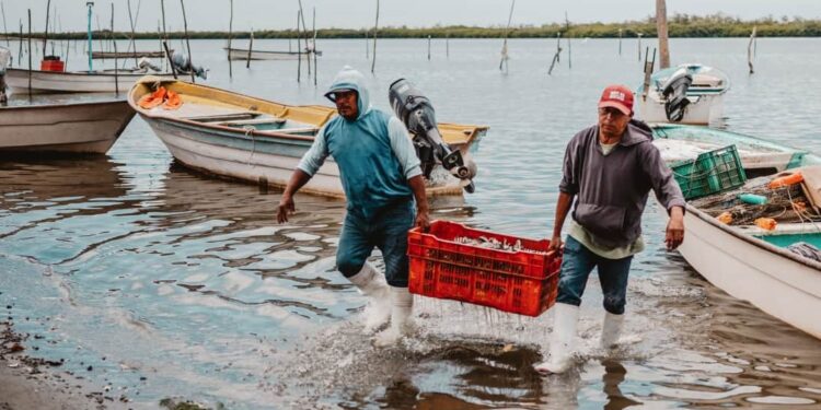 Cae 50% la pesca en Tamaulipas; Conapesca atribuye impacto a lanzamientos de SpaceX