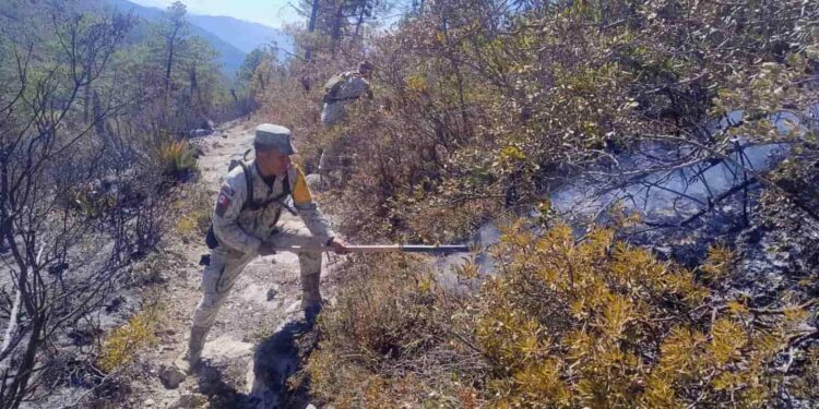 Avanza al 70 % el control del incendio forestal “Puerto del Volcán” en Miquihuana