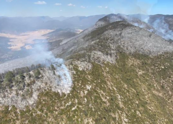 Tras días de combate, controlan incendio forestal en Miquihuana