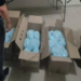 Autoridades incautan 270 kilos de fentanilo y desmantelan laboratorio en Colima