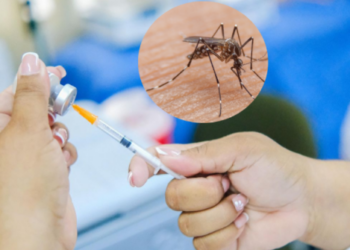 Casos de fiebre amarilla aumentan en Sudamérica, advierte la OMS