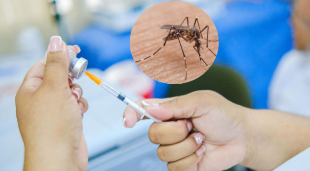 Casos de fiebre amarilla aumentan en Sudamérica, advierte la OMS