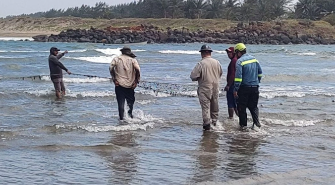 Autoridades intensifican limpieza tras derrame de petróleo en el Golfo de México