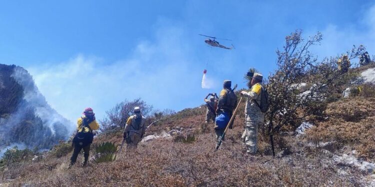 Controlado incendio forestal “Puerto del Volcán” en Miquihuana