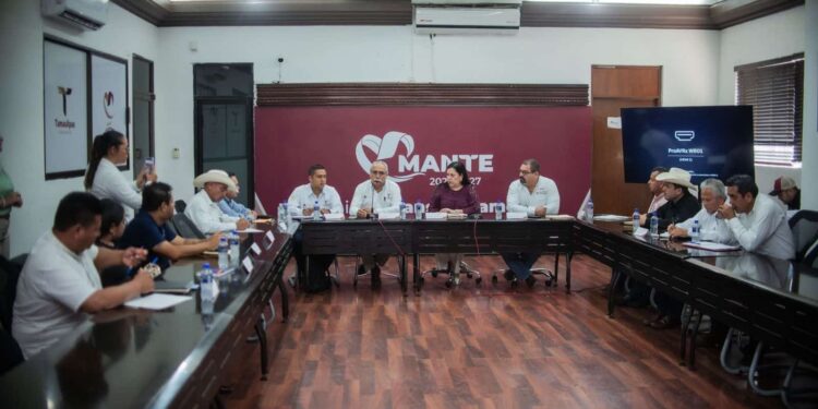 Coordinan Estado y Federación apoyos para fortalecer la producción de caña en Tamaulipas