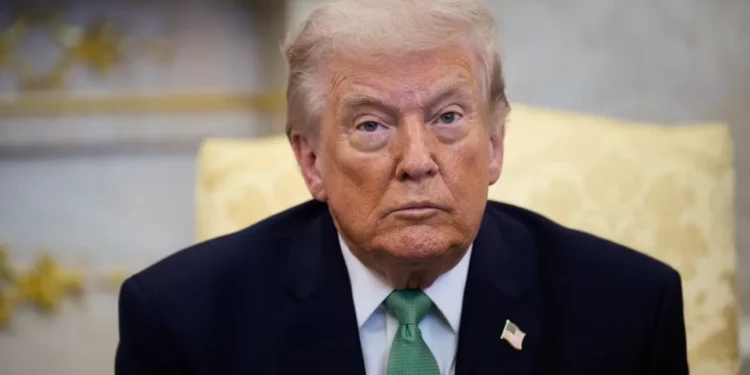 “¡Cobardes!”: Trump arremete contra la OTAN y los califica de “Tigre de Papel” por crisis en Irán