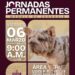 Gobierno de Matamoros Invita a la jornada de atención para mascotas en Los Presidentes