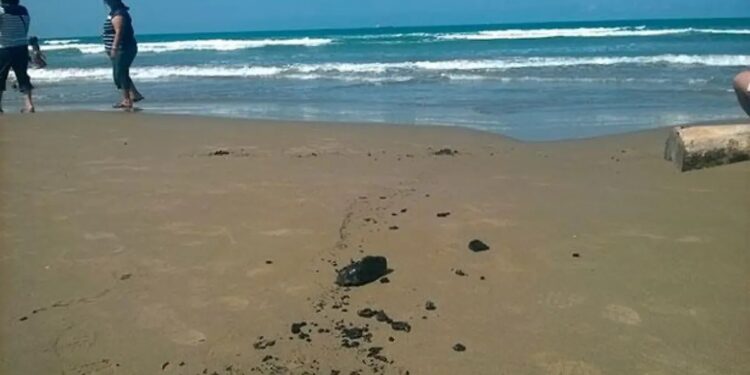 Contaminación alcanza playas de Tuxpan en Veracruz; detectan hidrocarburo a días de Semana Santa